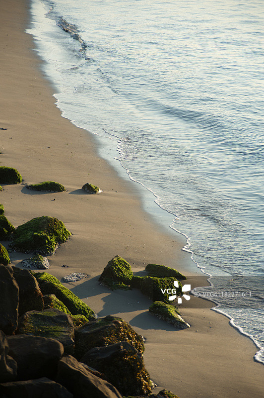 苔藓岩石图片素材