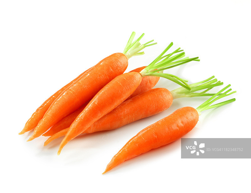 无叶胡萝卜堆图片素材
