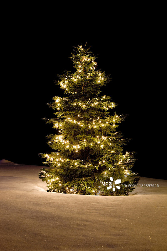 闪耀雪坡上的白色灯光圣诞树图片素材