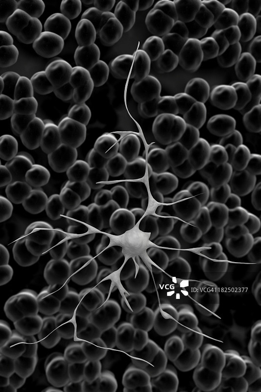 神经元图片素材