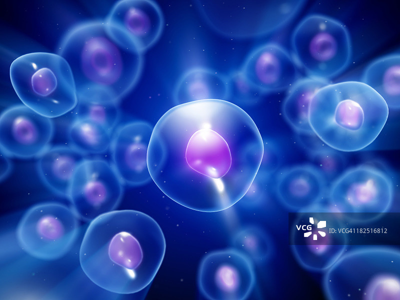 显微镜下的一组蓝色细胞图片素材