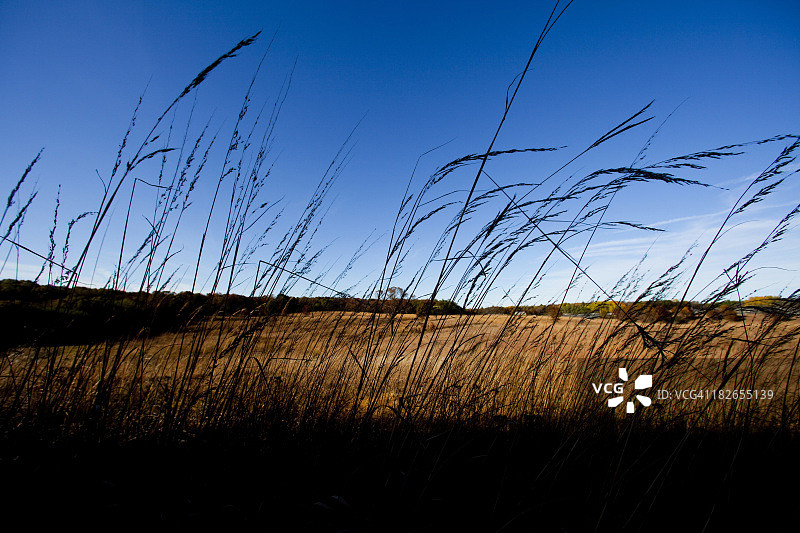 ICF草原图片素材