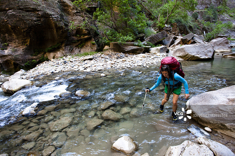 一名女子在犹他州斯普林代尔宰恩国家公园的狭缝中徒步旅行，用登山杖穿越维尔京河的一段。图片素材