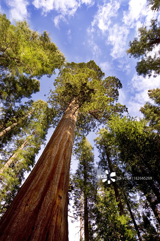 古一法师图片素材