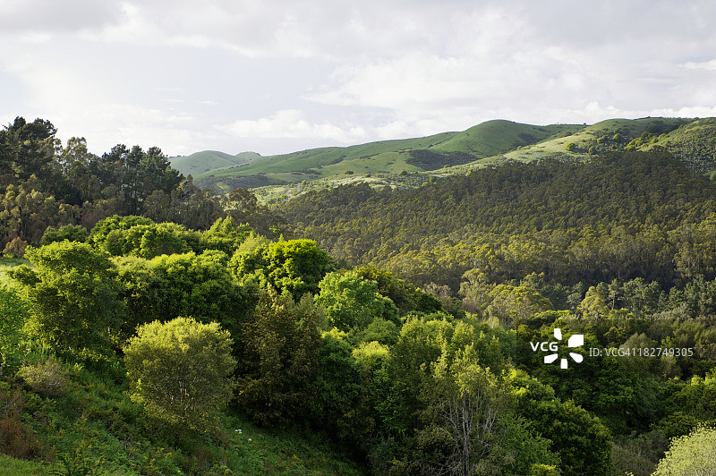 加利福尼亚州旧金山湾区伯克利山图片素材