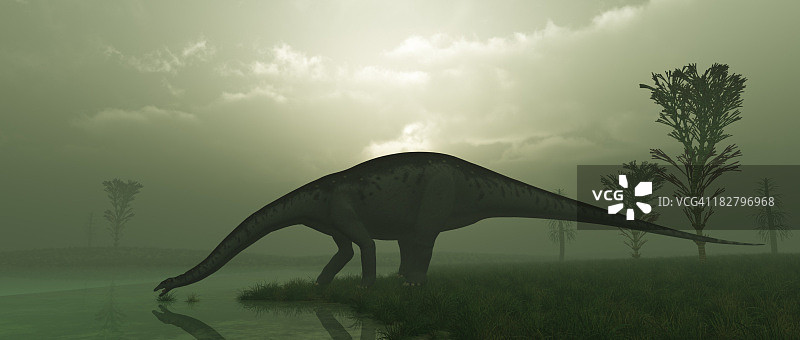 迷惑龙图片素材