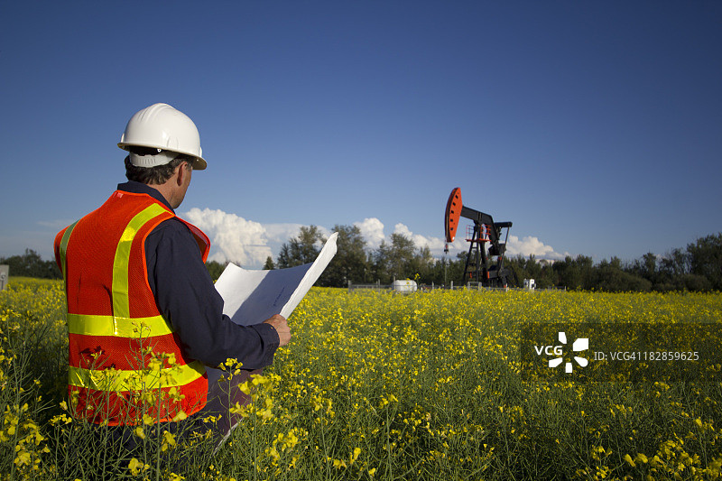 油菜籽田里的工程师图片素材