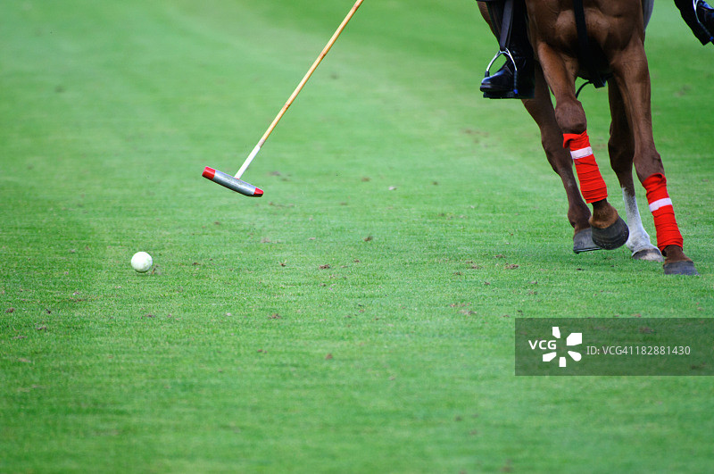 POLO衫细节图片素材