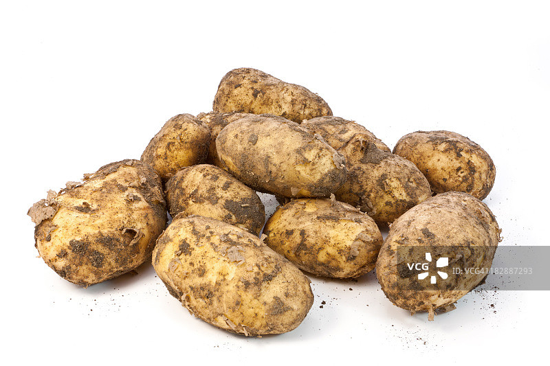 新土豆图片素材