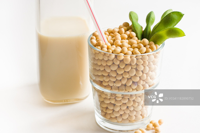 豆奶概念图片素材
