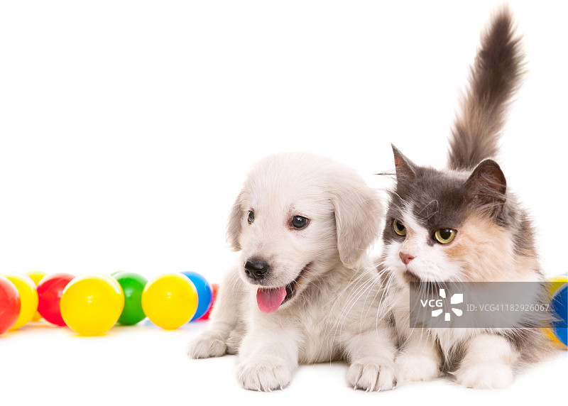 两个好伙伴图片素材