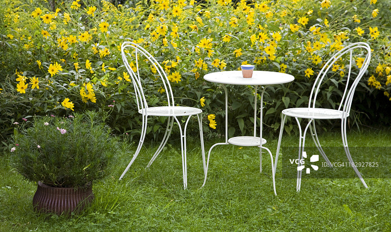 静物旁边的花坛图片素材