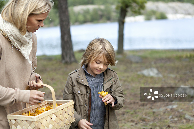 母子一起采蘑菇图片素材