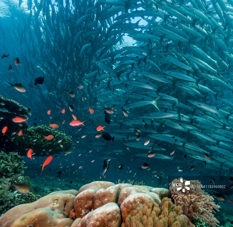 清晨高峰期图片素材