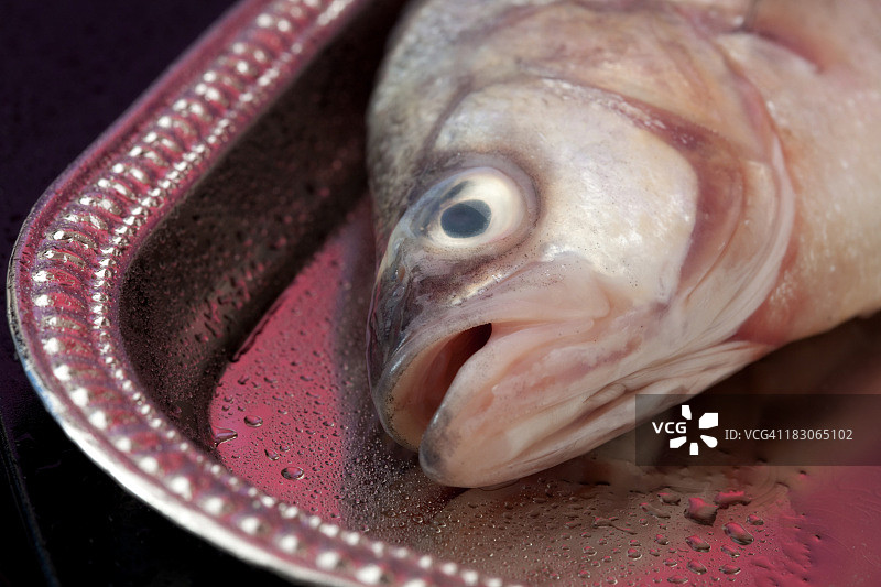 盛好的鱼图片素材