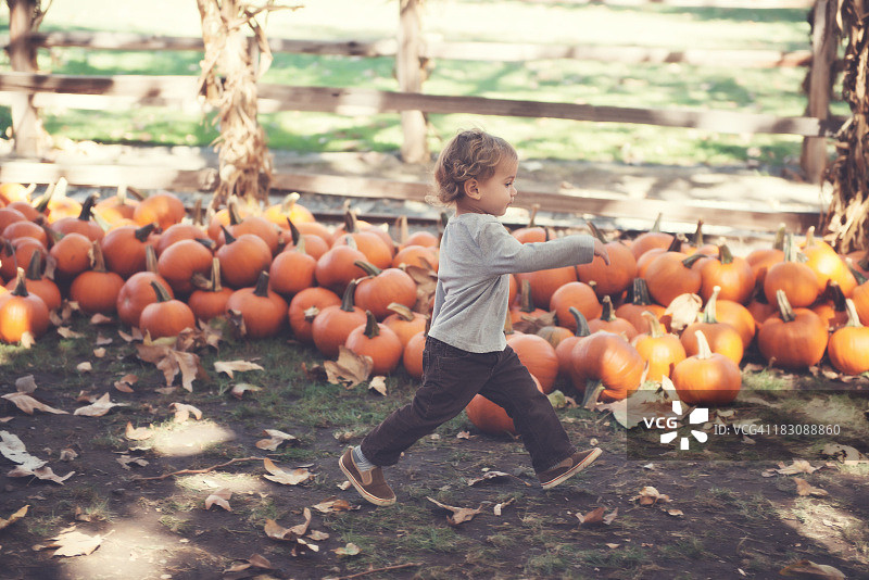 奔跑的南瓜—幼儿男孩图片素材