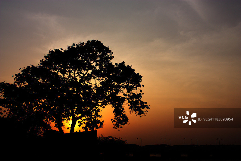 孤树日落图片素材