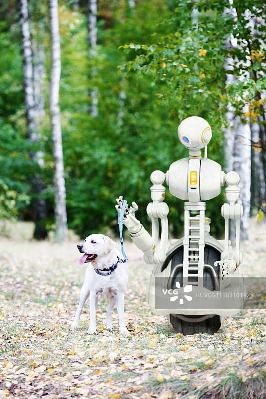 机器人在树林里遛狗图片素材