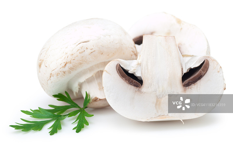白色背景上的白蘑菇切片图片素材