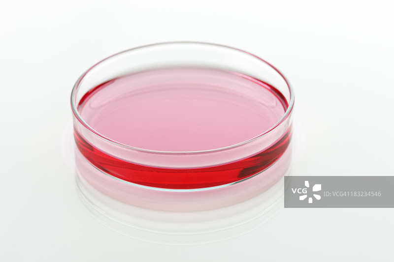 培养皿图片素材