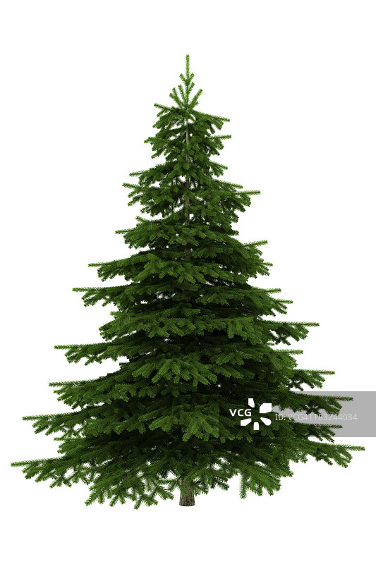 白色背景上的圣诞树图片素材