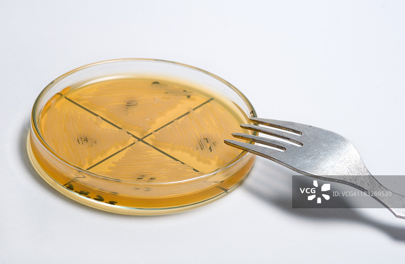 科研人员食品图片素材