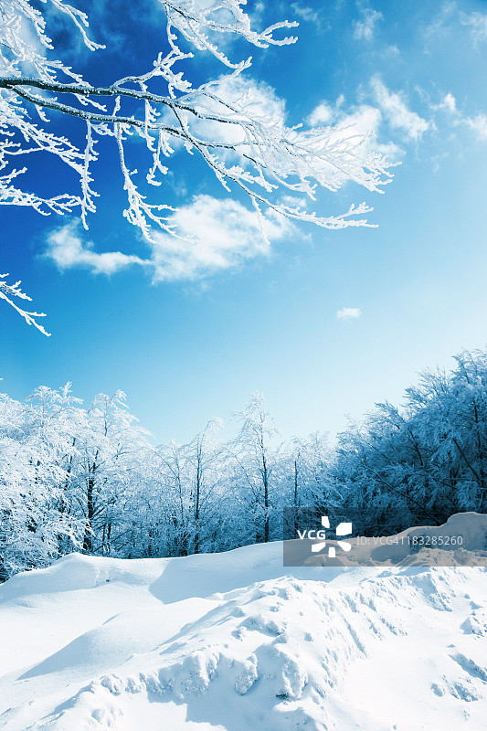 冬季自然图片素材