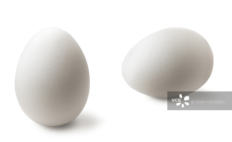 两颗白色鸡蛋图片素材