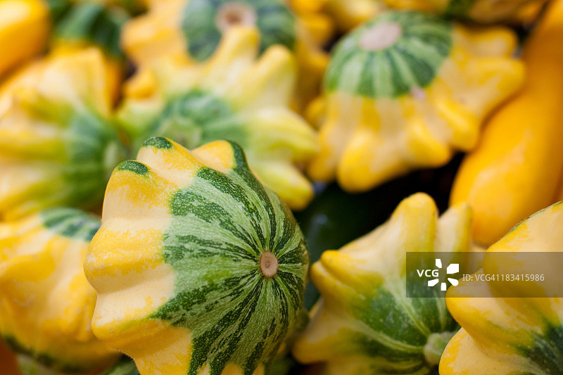 黄绿色夏南瓜图片素材
