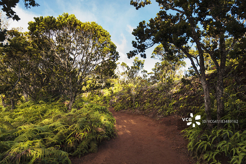 美国夏威夷考艾岛纳帕利海岸卡拉劳山谷图片素材