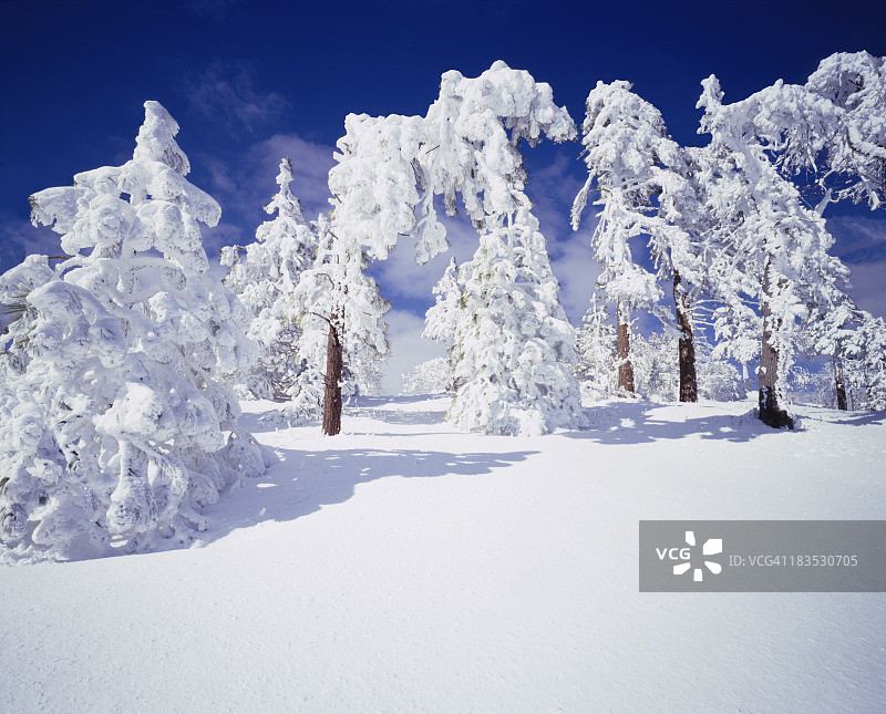 加利福尼亚州的冬天图片素材