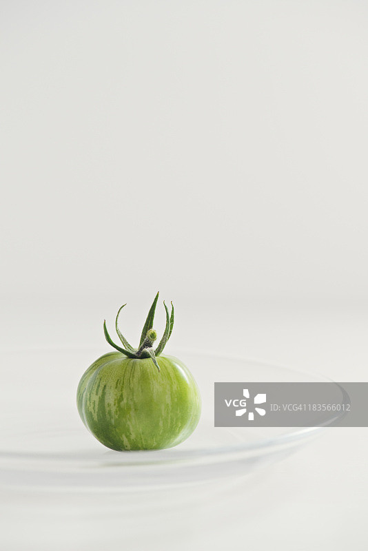 有机绿色斑马番茄图片素材