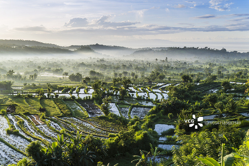 梯田，丁加甘加，巴厘岛图片素材