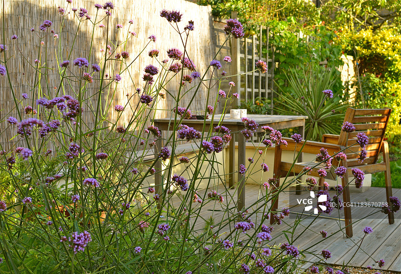 九月花园图片素材