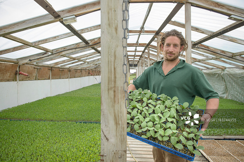 农民拿着有机农场上的幼苗图片素材