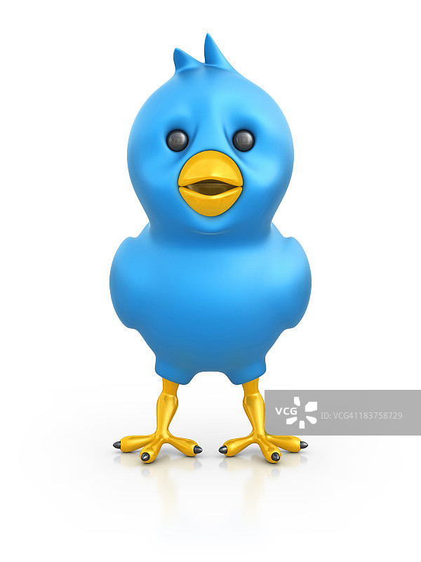 蓝色的鸟图片素材