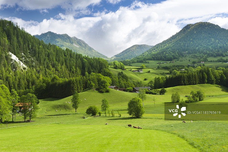 绿色田野与山脉图片素材