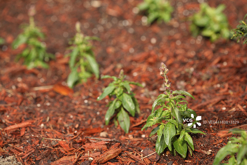 新生活图片素材