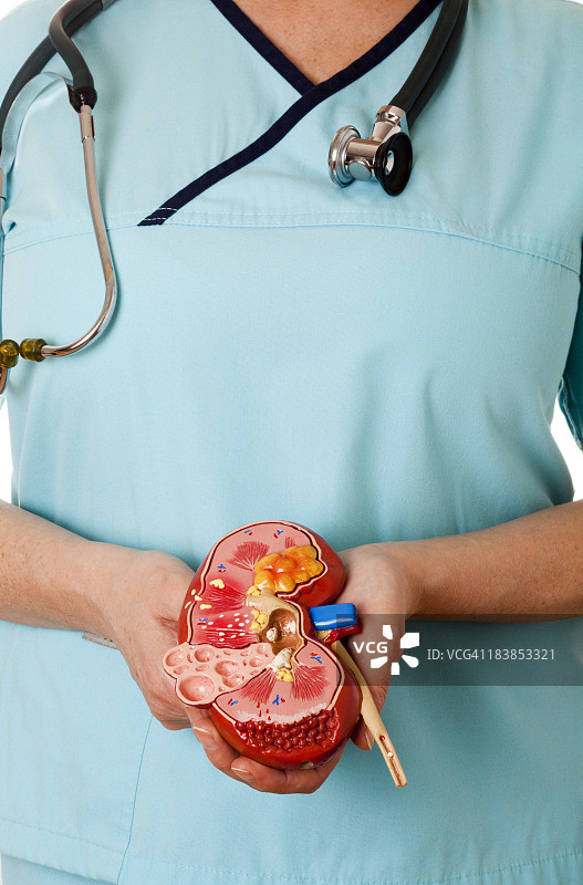 护士手中的已故者肾脏图片素材