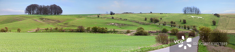 哈克彭白马全景，威尔特郡，英格兰图片素材