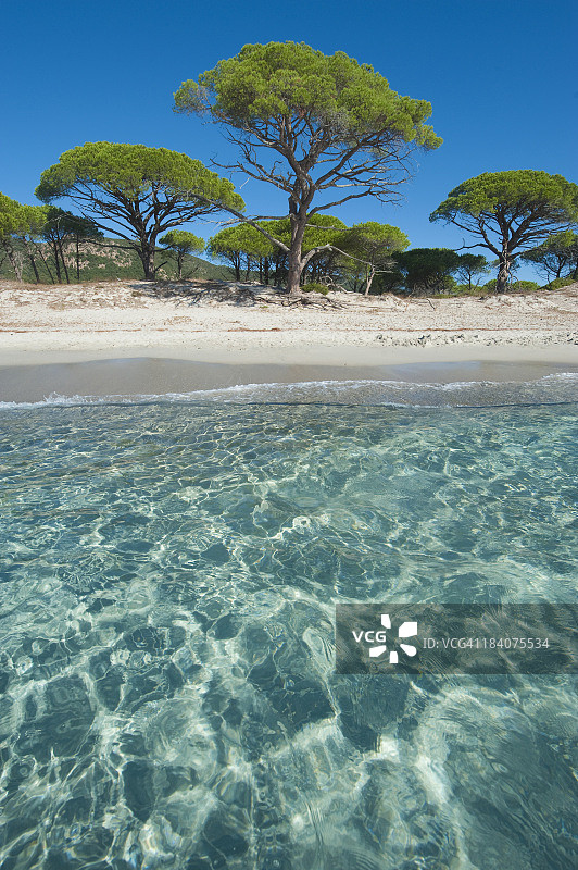 科西嘉岛的帕隆巴吉亚海滩图片素材