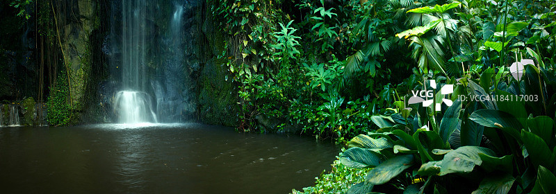 热带雨林中的瀑布图片素材