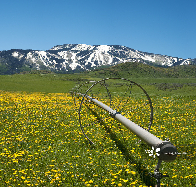 落基山脉的春天图片素材