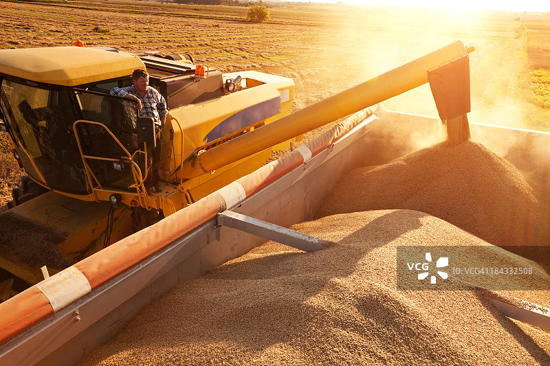 农民用联合收割机将谷物倒入拖车图片素材