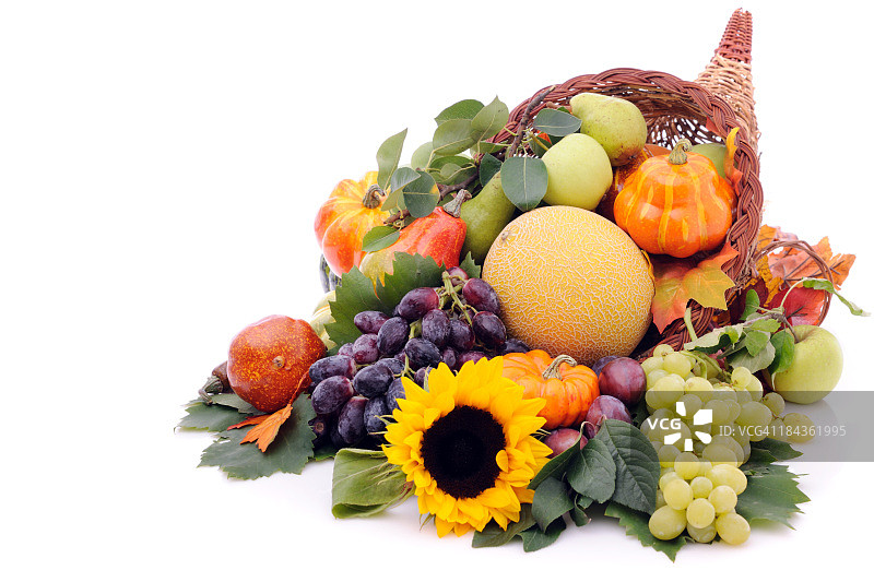 装满南瓜和水果的丰收角图片素材