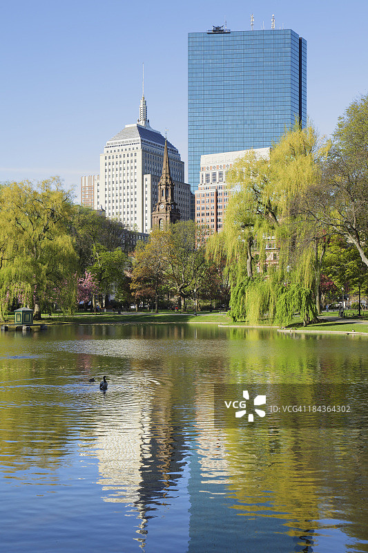波士顿公共花园图片素材