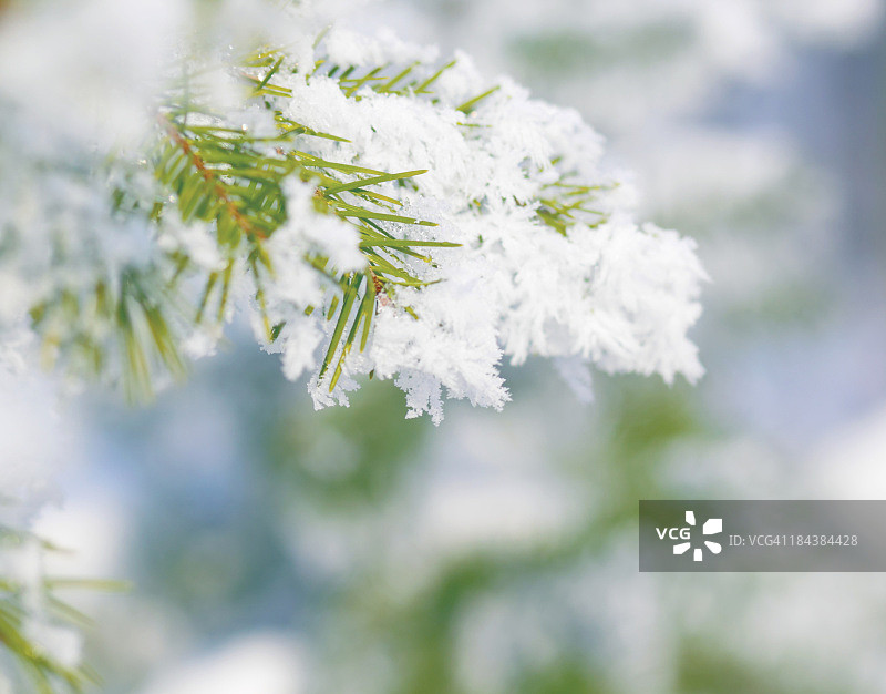 冬天的背景图片素材