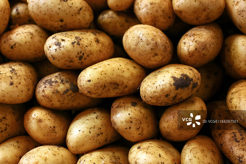 新鲜土豆特写图片素材