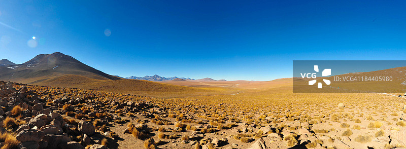 阿塔卡马的潘帕斯草原图片素材