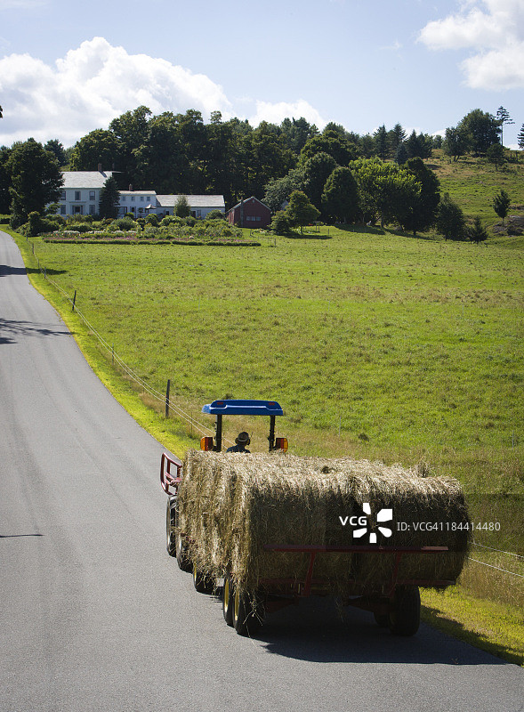 收割青贮饲料用干草图片素材